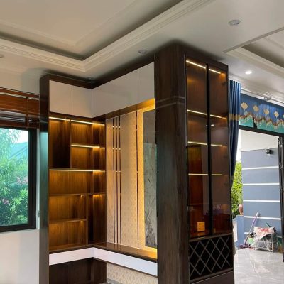 Tủ Chinhuei Plus 2.0 cánh kính cường lực TK2