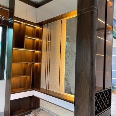 Tủ Chinhuei Plus 2.0 cánh kính cường lực TK2
